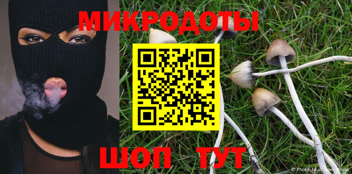 Псилоцибиновые грибы Cubensis Красноармейск