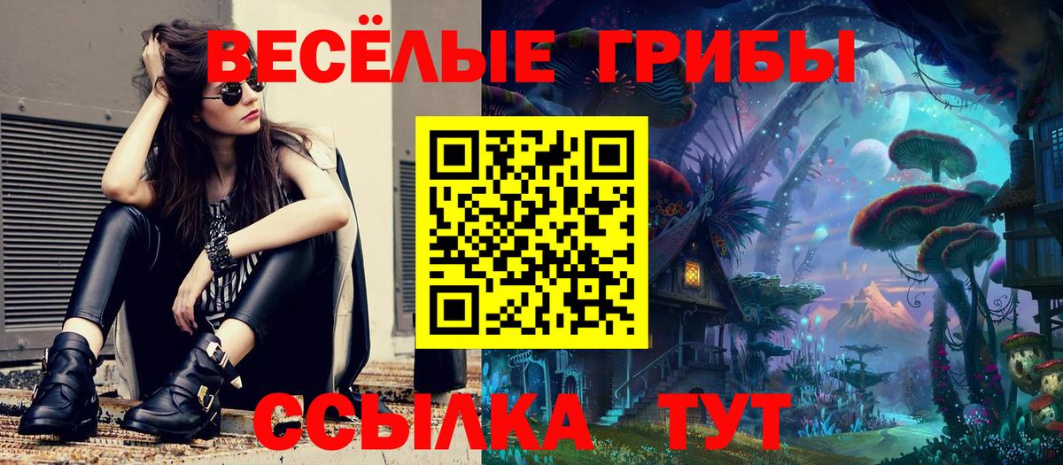 Псилоцибиновые грибы GOLDEN TEACHER  Галлюциногенные грибы Psilocybe  Красноармейск  как найти наркотики  Вход с VPN 